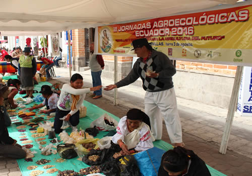 Seed sharing in Ecuador
